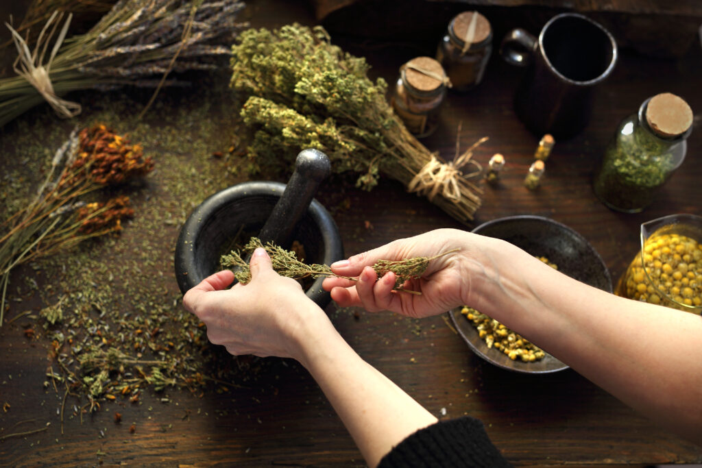 Exploring Herbalism: Traditional Plants for Modern Wellness