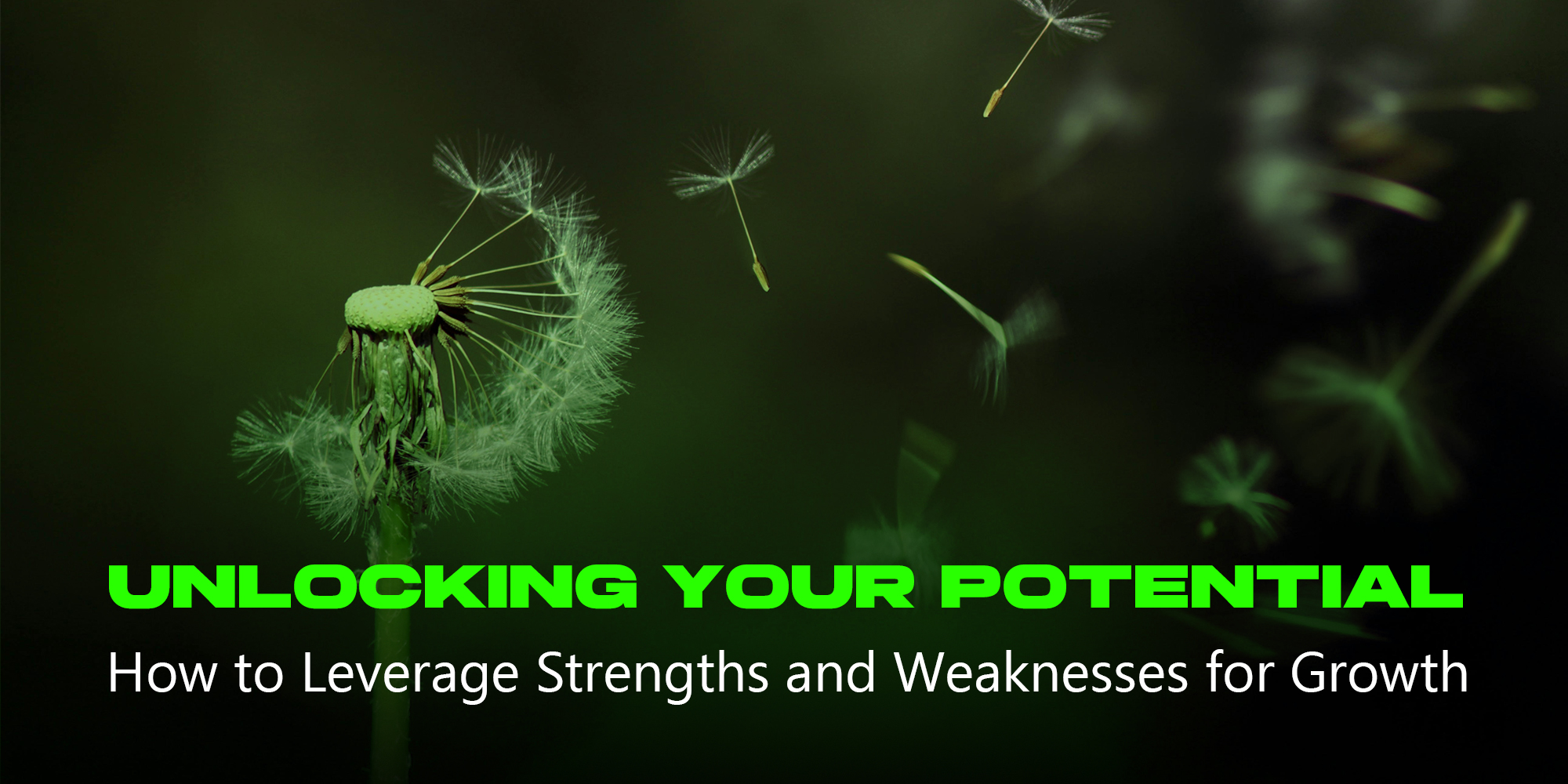 Unlocking Your Potential: How to Leverage Strengths and Weaknesses for Growth